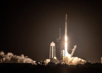 La misión SpaceX Crew-7 despega en un cohete Falcon 9 desde el Complejo de Lanzamiento 39A en el Centro Espacial Kennedy, Florida, Estados Unidos. EFE/EPA/CRISTOBAL HERRERA-ULASHKEVICH