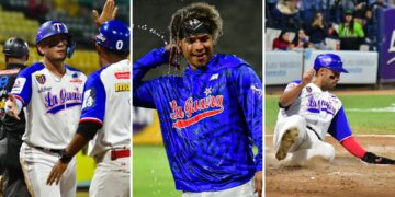 Fotos @tiburones_net